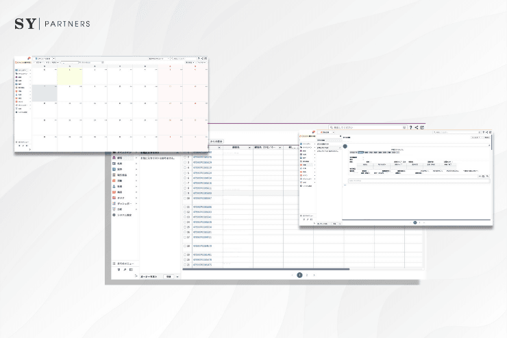 CRM System Development with High Customization and Multi-Tenant Architecture