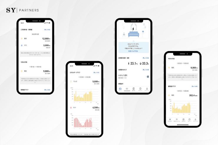 Energy Management and IoT Integration for Household Applications