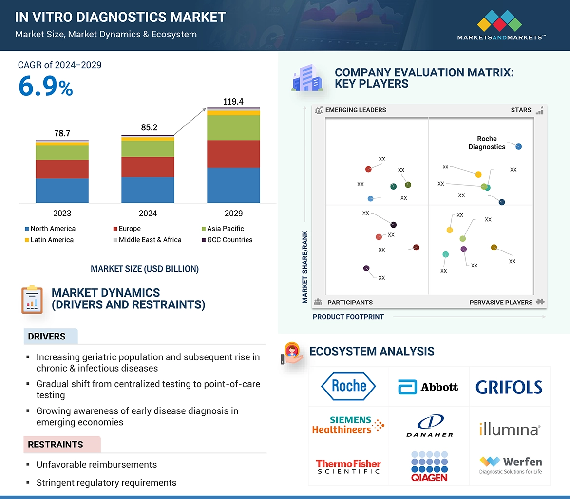 DX market size CAGR of 2024 - 2030