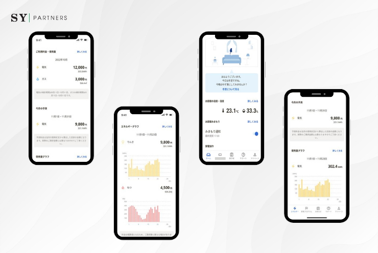 Energy Management and IoT Integration for Household Applications