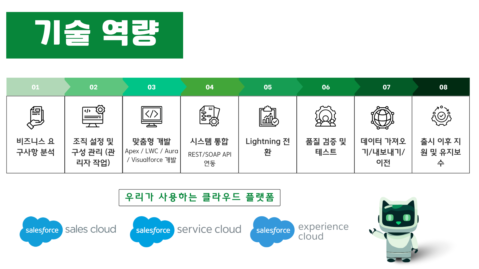 Salesforce 기술 지원 범위 