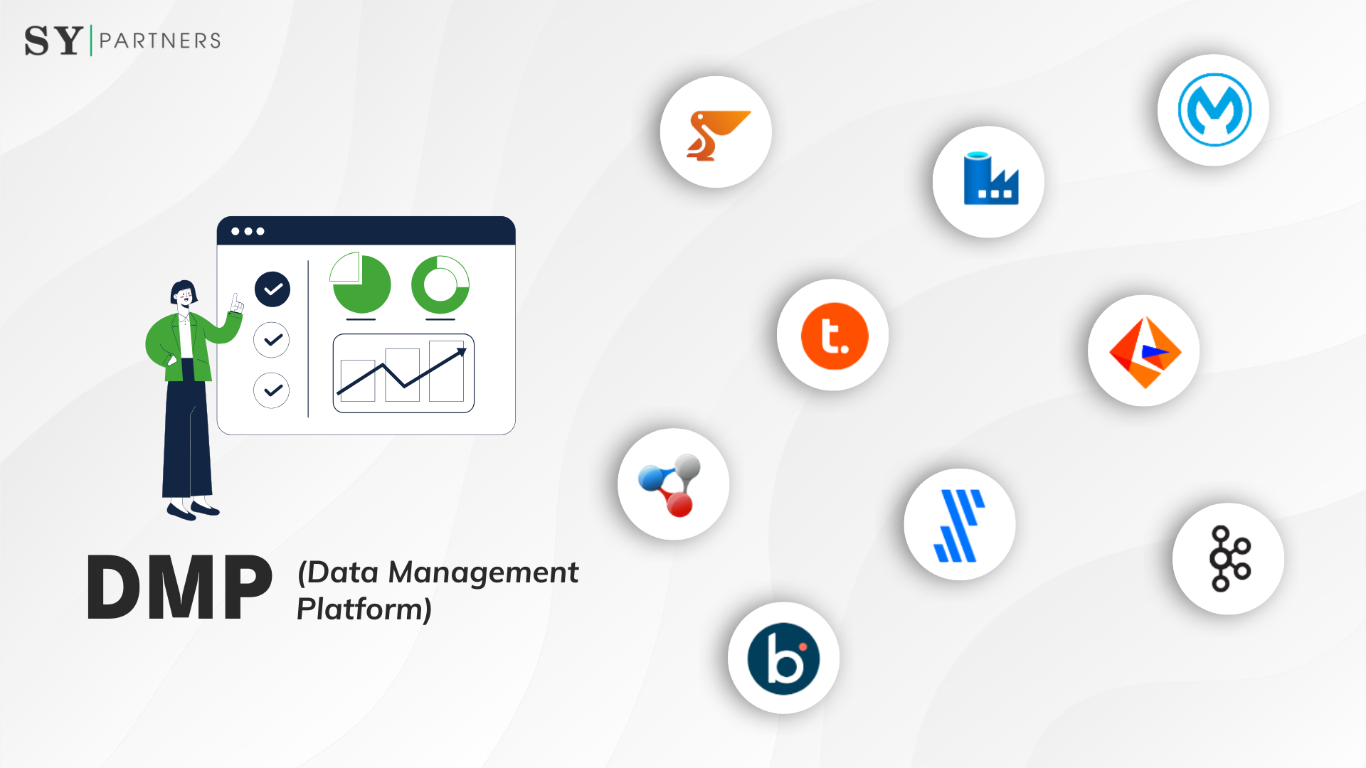 DMP(Data Management Platform)