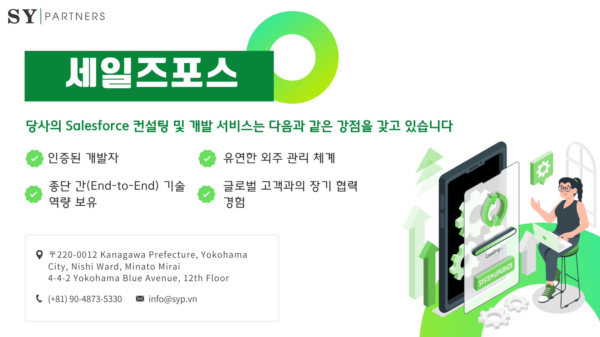 세일즈포스 컨설팅 및 개발 