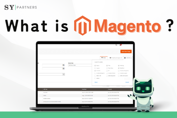 What is Magento? Market Share, E-Commerce Features, Comparisons, and Implementation Guide