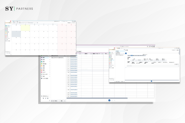 CRM System Development with High Customization and Multi-Tenant Architecture