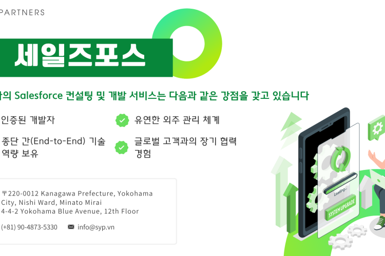 세일즈포스 컨설팅 및 개발 