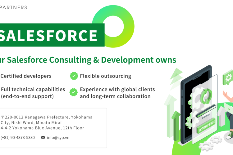 Salesforce Consulting & Development (CRM)