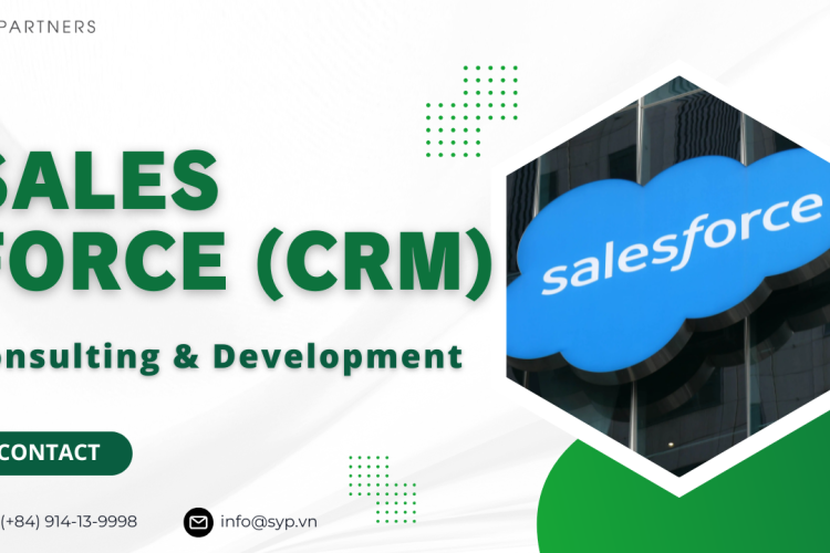 Salesforce (CRM) Consulting & Development